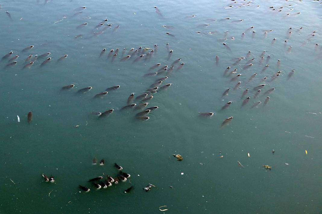 O kentte korkutan manzara: Ekipler apar topar inceleme başlattı! Yağmur suyu kanalları bile inceleniyor 7